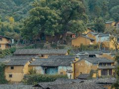 -杨家堂村