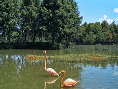 -宁波杭州湾国家湿地公园