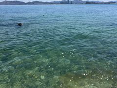 -养马岛旅游度假区