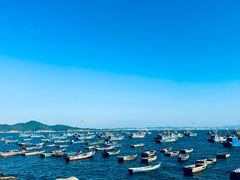 -海源公园