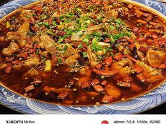 -新概念来凤鱼(璧山店)