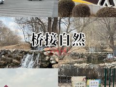 -长白岛森林公园