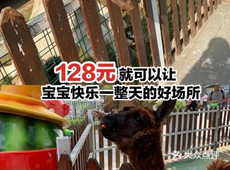 128元就可以让宝宝快乐一整天的好场所