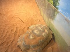 -华夏文旅西安度假区