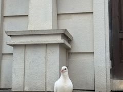 -华谊兄弟（长沙）电影小镇