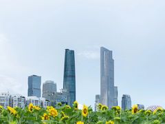 -海心沙亚运公园