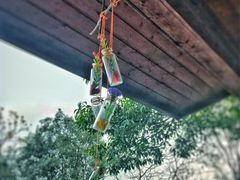 -天目湖涵田半山温泉