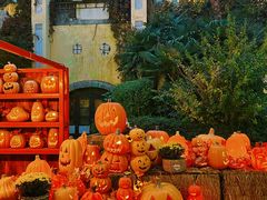 -郑州方特梦幻王国