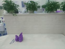 -蕾特恩专业祛痘国际连锁
