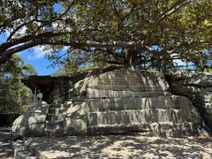 -麦考利夫人座椅