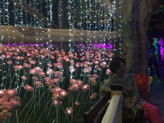 -横店影视城梦幻谷园区