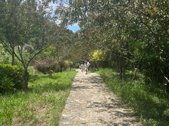 -武汉姚家山旅游景区