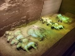 -秦始皇帝陵博物院-丽山园