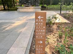-月坛公园