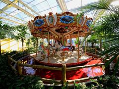 -南宫五洲植物乐园