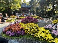 -汇龙潭