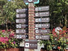 -西双版纳原始森林公园