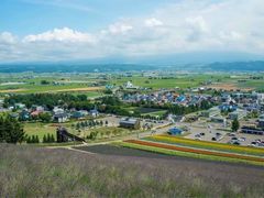 -富田农场