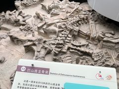 -自贡恐龙博物馆