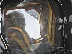 -白鹭湾湿地公园