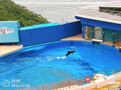 -香港海洋公园