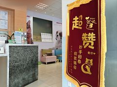 -瑞派申生动物医院·24H夜诊·国际动物医疗中心·骨外科(吴中路店)