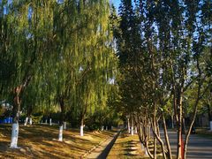 -永定河休闲森林公园