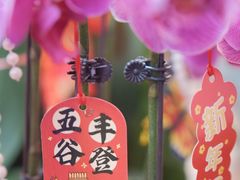 -越秀西湖花市(广州城市广场花卉店)