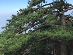 -罗田薄刀峰风景区