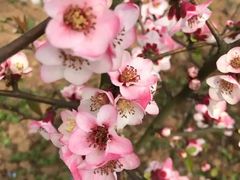 -南京中医药大学(仙林校区)