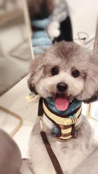 点击看大图 -5M HAIR SALON