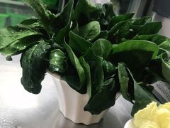 -小乌猪·金华筒骨煲(永盛购物广场店)