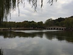 -上海植物园·停车场