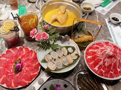 -禄婶鸡煲·打边炉