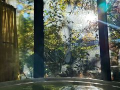 -春晖园度假酒店温泉