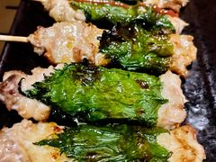 烤梅子鸡肉串-木子烧鸟屋(百子湾店)