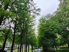 -徐家汇公园