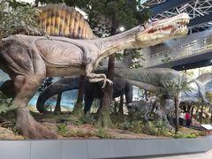 -湖南省地质博物馆