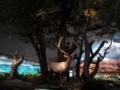 -中国湿地博物馆