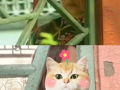 -恭王府博物馆