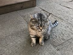 -无锡惠山寺