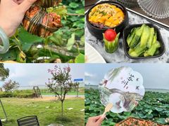 -七的湖·晚芳亭·阳澄湖农家菜·大闸蟹(莲花岛店)