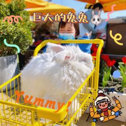 -小蜜蜂农场(凯德七宝购物广场店)