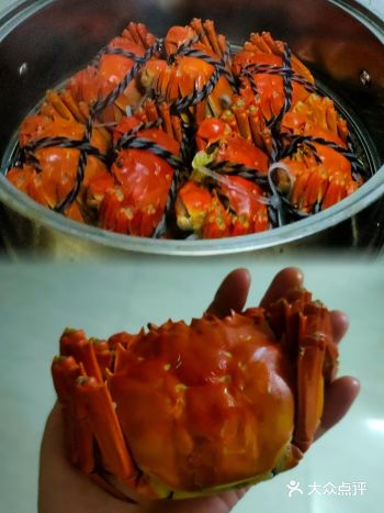 金秋美味，阳澄湖大闸蟹
