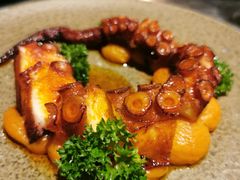 章鱼-Apollo·西班牙小酒馆(安福路店)