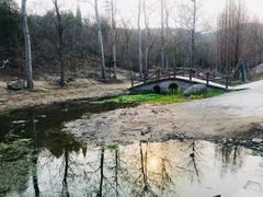 -白水寺森林公园