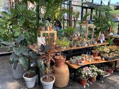 -北马山庄植趣咖啡