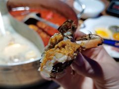 -蒙肥羊·酸汤潮牛·鲜牛肉火锅烤肉自助(岗顶店)