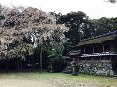 -醍醐寺