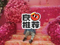 -宝珠奶酪(闵行仲盛店)